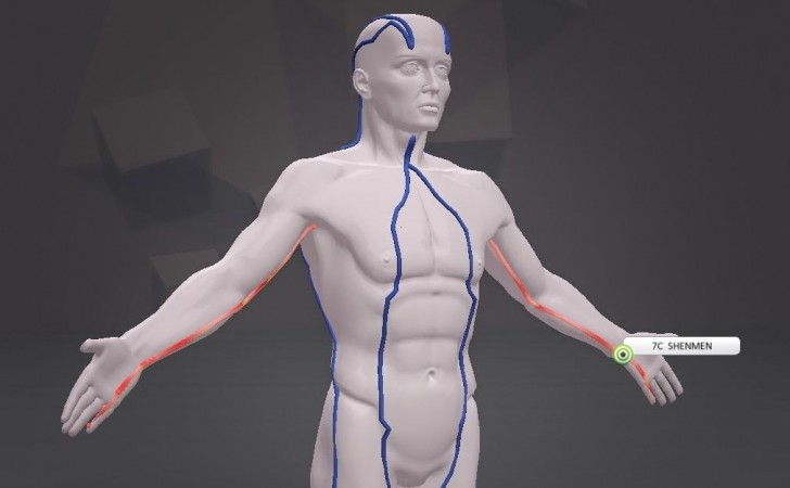 Choose between skinned and transparent